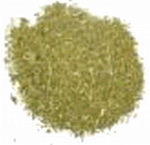 Magickal Herbs - Scullcap