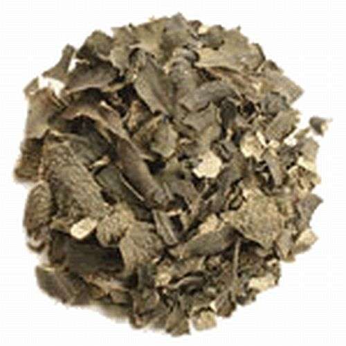 Magickal Herbs - Bladderwrack