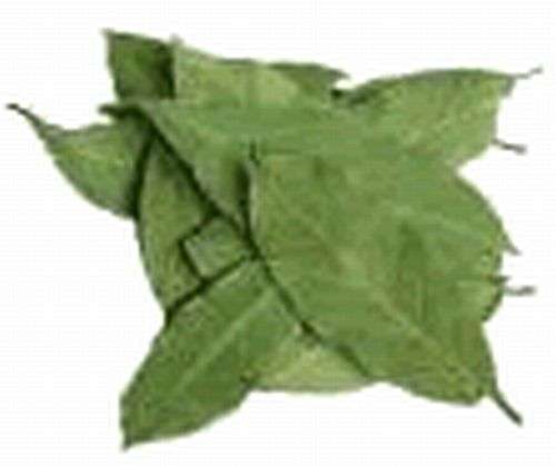 Magickal Herbs - Bay Leaves