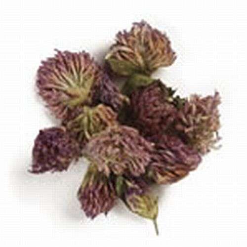 Magickal Herbs - Red Clover Flowers