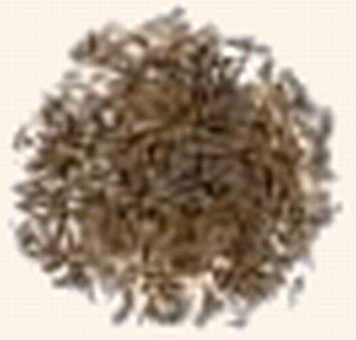 Magickal Herbs - Colt's Foot