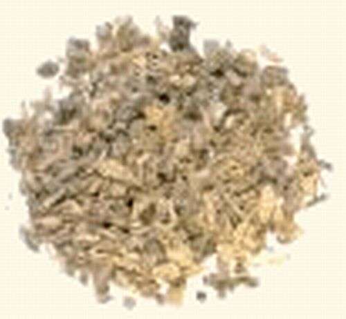 Magickal Herbs - Echinacea