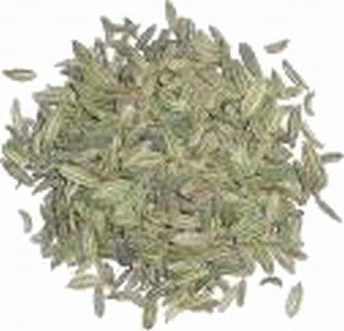 Magickal Herbs - Fennel Seeds