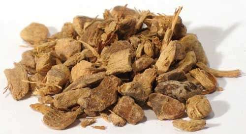 Magickal Herbs - Galangal Root