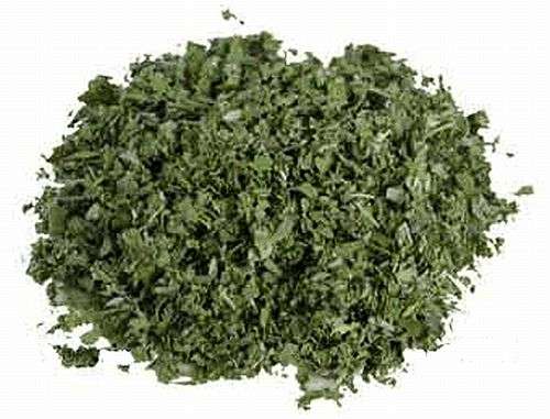 Magickal Herbs - Sage