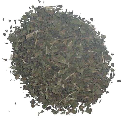 Magickal Herbs - Spearmint