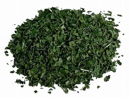 Magickal Herbs - Stinging Nettle