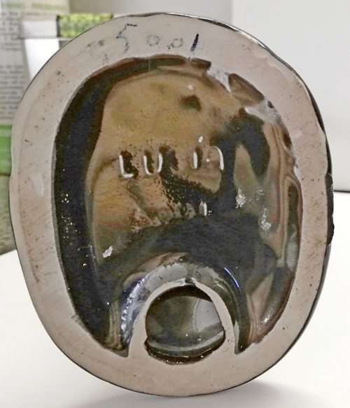 Lucia Ware stylized buck.