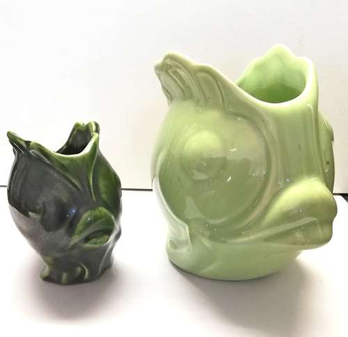 Lucia Ware Goldfish duo