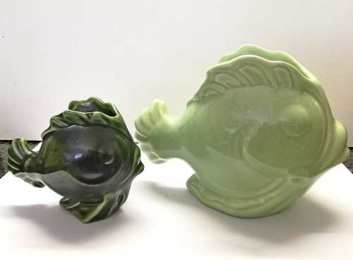 Lucia Ware Goldfish duo