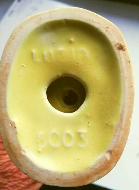 Lucia Ware small buck.