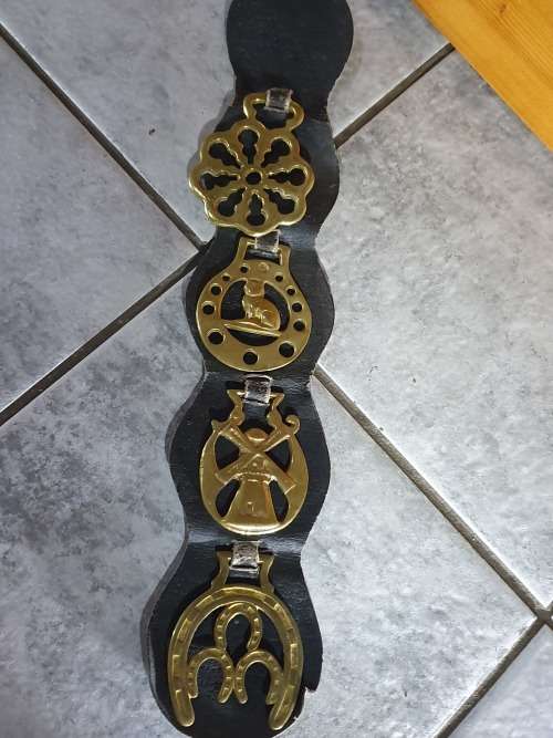 Leather & Copper Belt