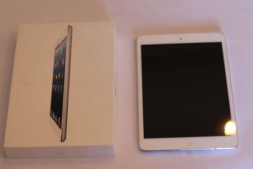iPad Mini 1 16GB Wifi