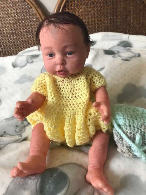 Vinyl full body doll