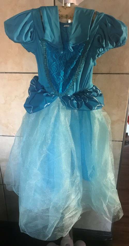 Elsa Snow Queen costume