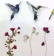 FLOWER BIRD NAIL ART WATER DECAL STICKERS 3107