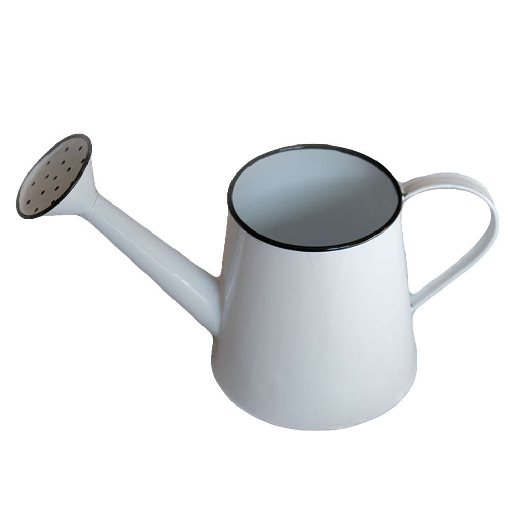 Watering Can / Flower Vase