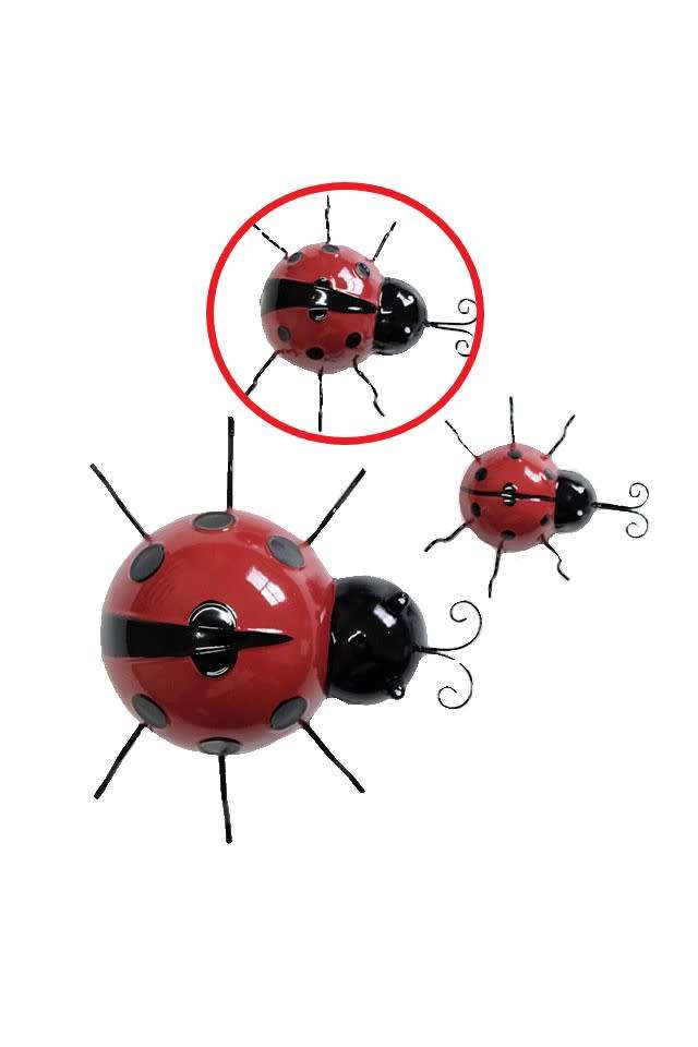 Ladybird Medium - Wall Décor