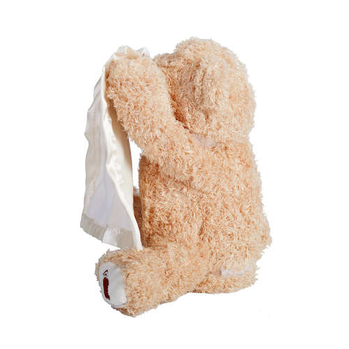 Peek-A-Boo Teddy Bear