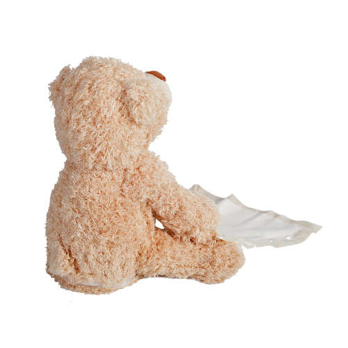 Peek-A-Boo Teddy Bear