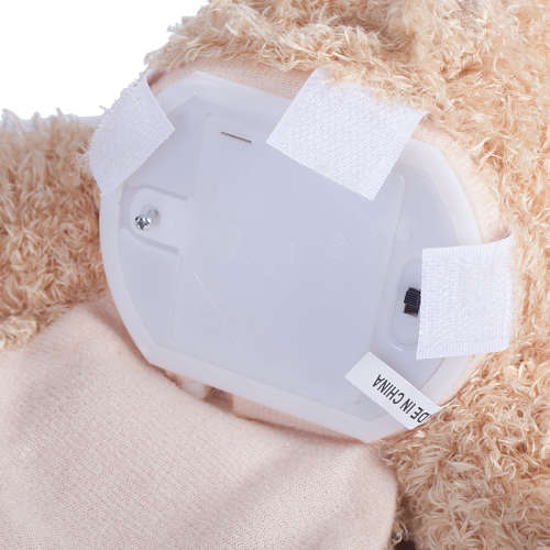 Peek-A-Boo Teddy Bear