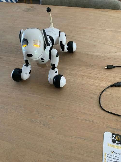 Zoomer Robot Dog - very cool toy