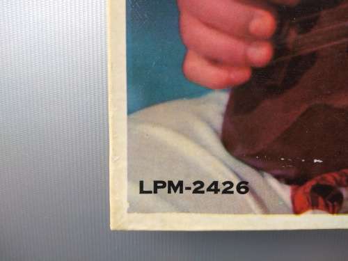 Elvis Presley poster and vinyl cover