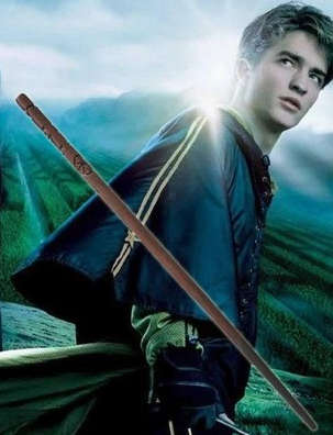 Harry Potter - Cedric Diggory Wand