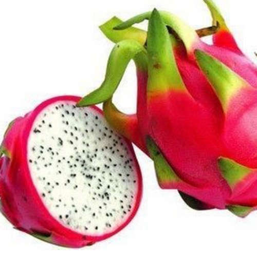 White Flesh Pitaya - Dragon Fruit (10 seeds)