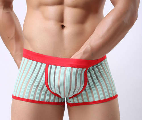 Sexy Men's Underwear Boxer Trunks Underpant