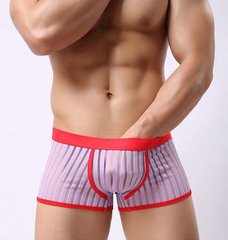 Sexy Men's Underwear Boxer Trunks Underpant
