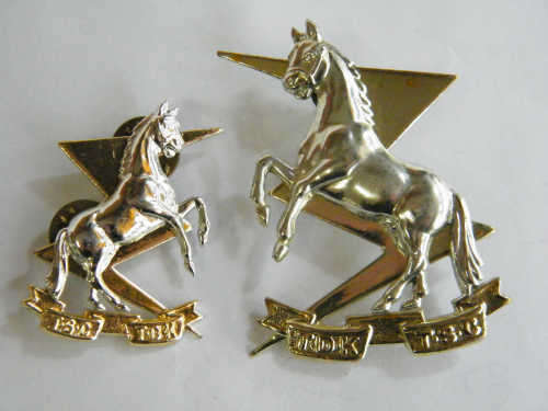 Technical Service corps badges - as per photo