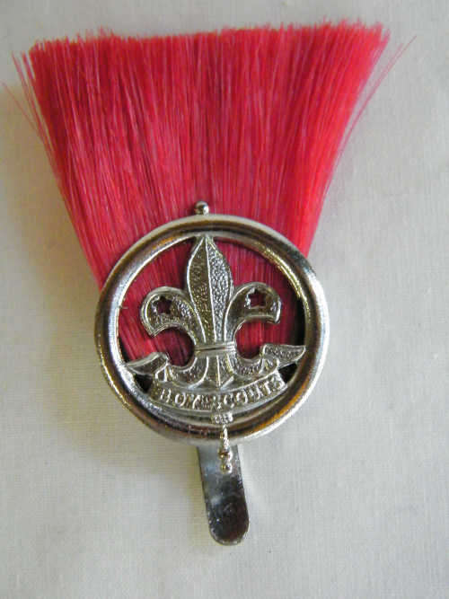 Boy Scouts plume - as per photo