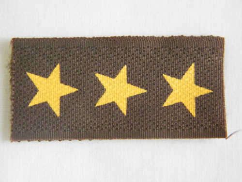 SA Army Captain rank badge - as per photo