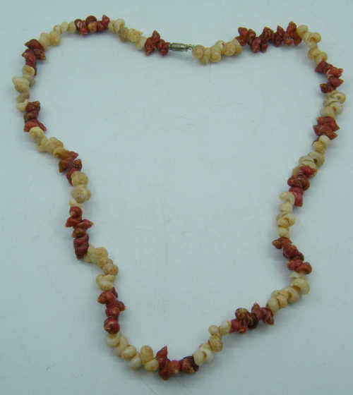 Shell Necklace - as per photo