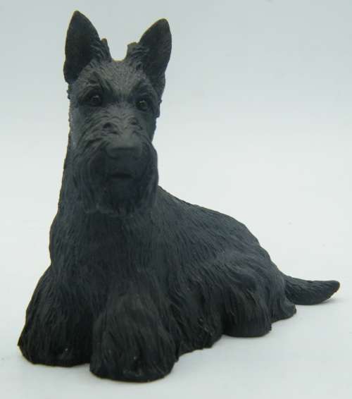 Border Fine Arts Dogs & Pups galore Scottish Terrier - as per photo
