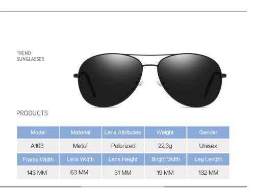 Polarized Sunglasses for Men