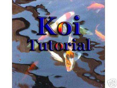 KOI CARP tutorial Disk - EVERYTHING you need to know