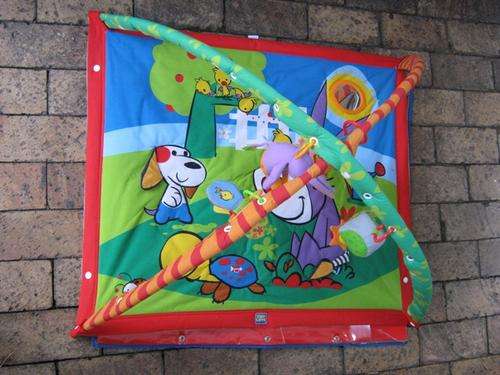 Baby Activity/Play Mat
