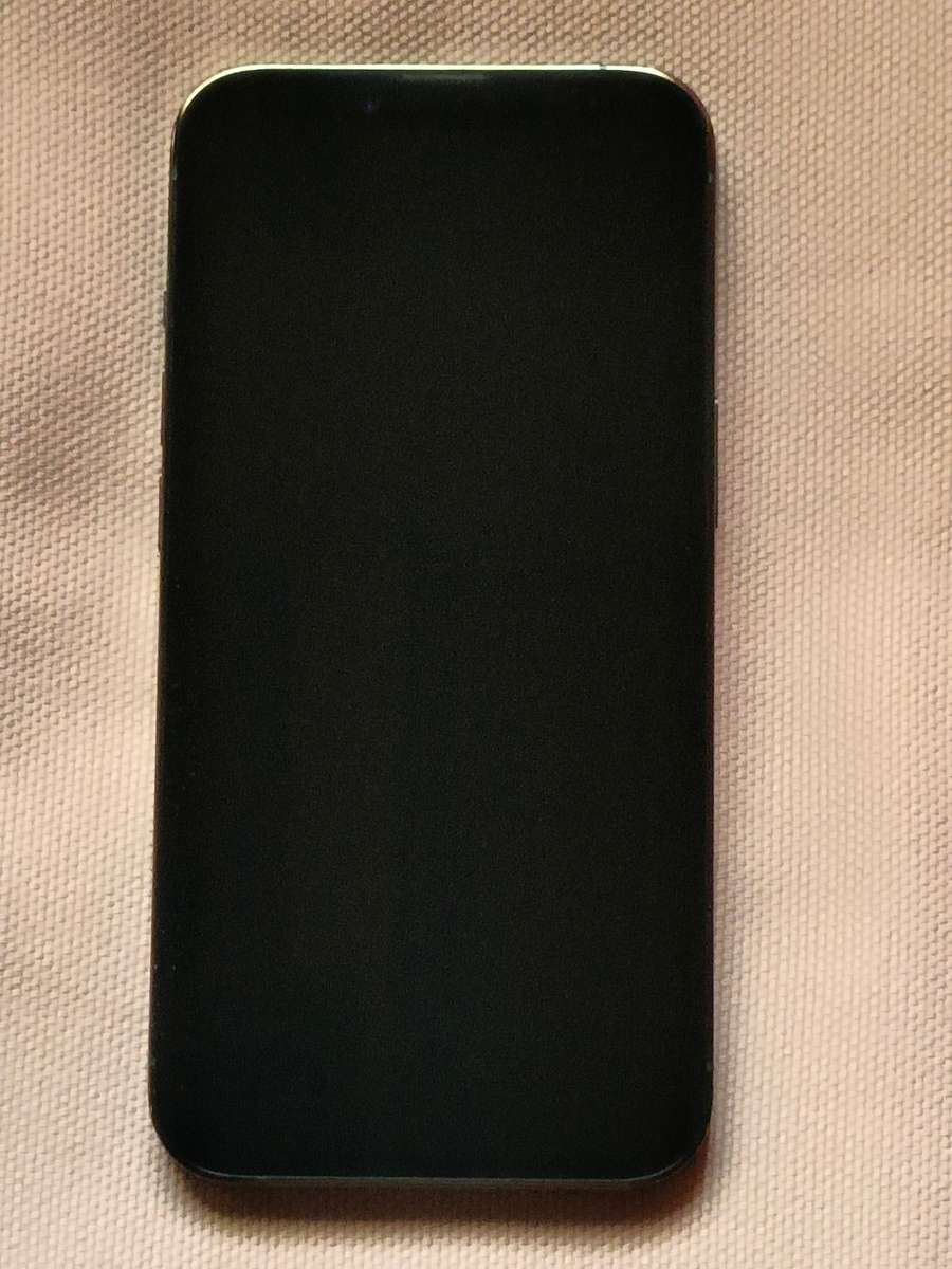 iPHONE 13 PRO 1TB, CABLE, NEW GLASS PROTECTOR AND NEW POUCH. 9.9/10