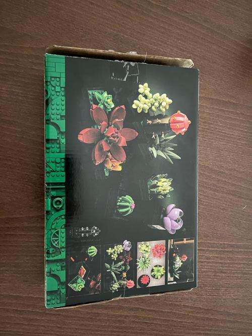 Building blocks - Sucoulents