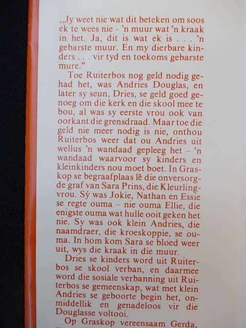 GEBARSTE MURE - Dricky Beukes