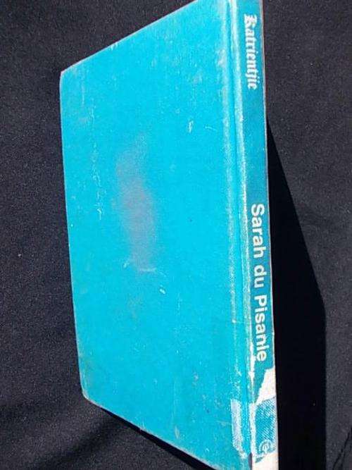 KATRIENTJIE deur Sarah du Pisanie