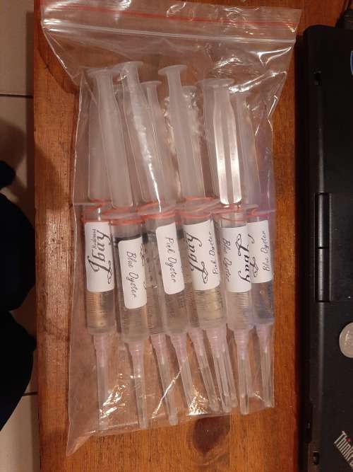 Jbay Mushroom Grow Kit  10ml Spore Syringe