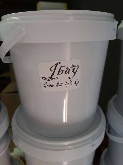 Jbay Mushroom Grow Kit  10ml Spore Syringe