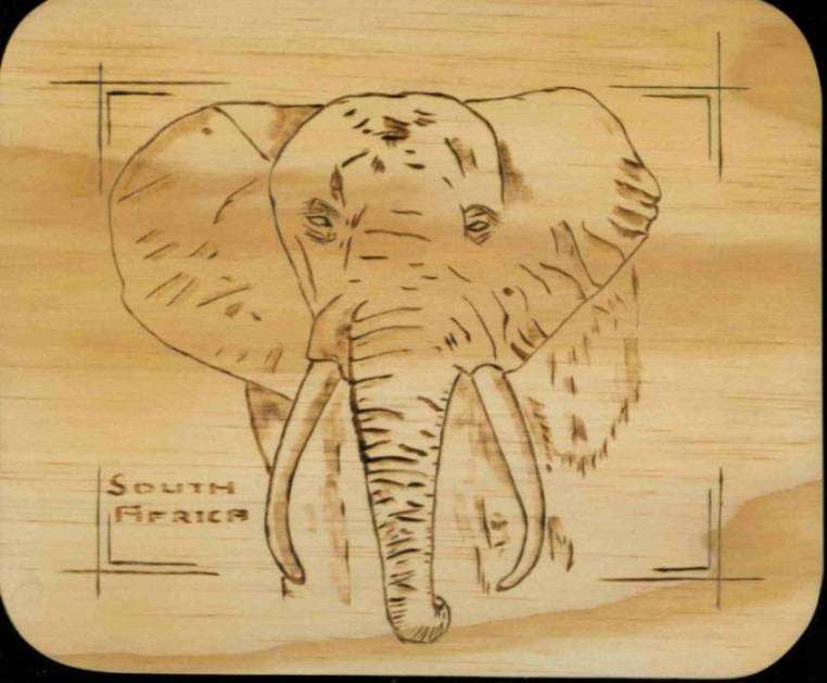 Animal & Bird Place Mats