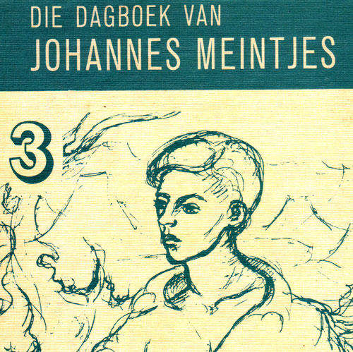BRAND NEW BOOK BY JOHANNES MEINTJES : DAGBOEK 3 (SOUTH AFRICAN ARTIST & AUTHOR) @ BARGAIN PRICE!