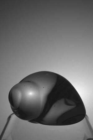 AN IMPORTED FRENCH `ESCARGOT` PAPER WEIGHT MADE FROM CLEAR GLASS