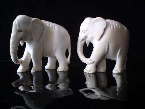 Pair of Elephants