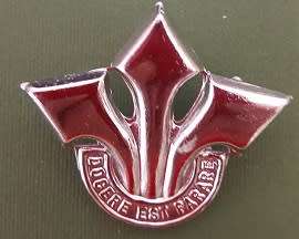SADF - Corps of Professional Officers Chromed Cap Badge
